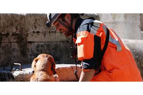 10-REDOG